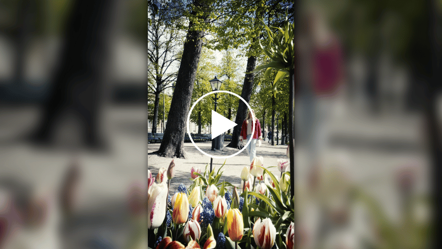 Video Reel gemaakt voor Parole Den Haag - Video Portfolio