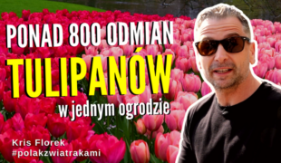 YouTube episode for Kris Florek's YouTube - #Keukenhof